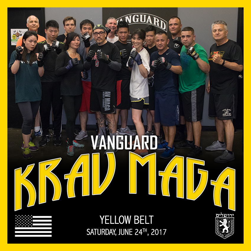 Krav Maga Belt & Practitioner Testing in Santa Clara, California